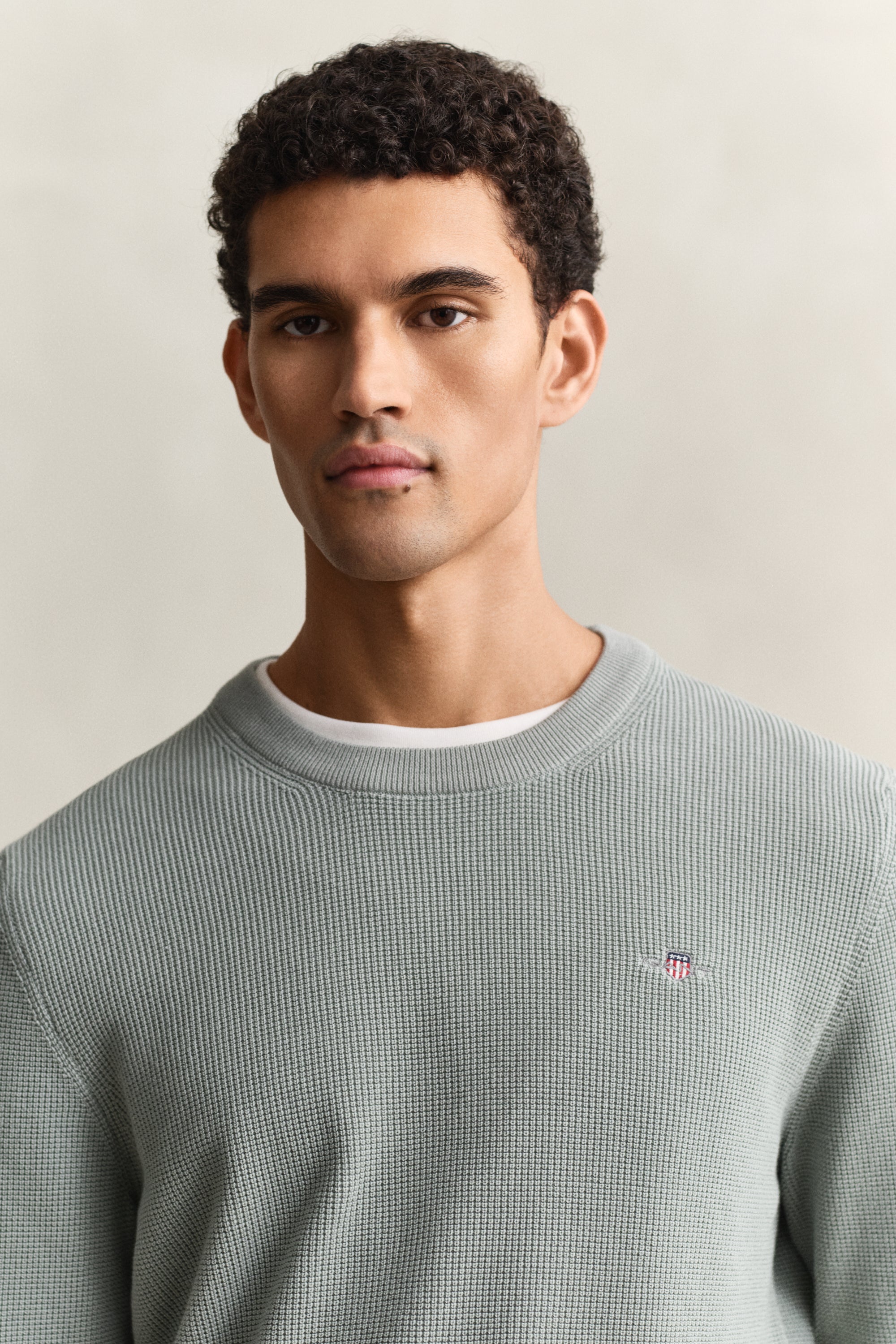 GANT MICRO TEXTURED COTTON C-NECK
