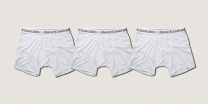 3PK BASE BAMBOO BOXER